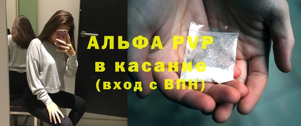 хмурый Абаза