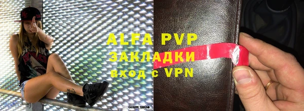 хмурый Абаза