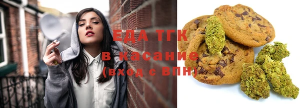 хмурый Абаза