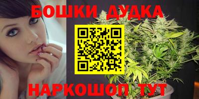 гидра Добрянка